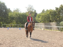 img_7241_web